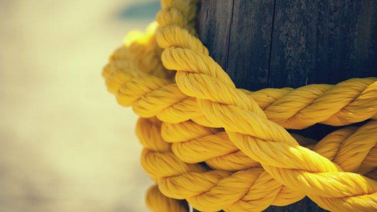 Best Hammock Knots to Use