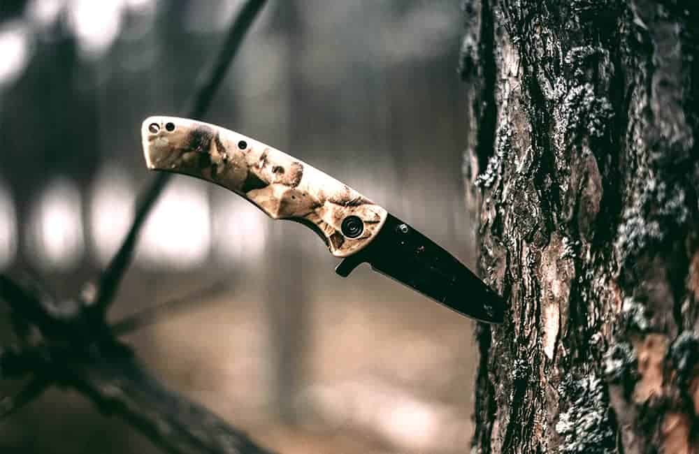 folding knife on tree