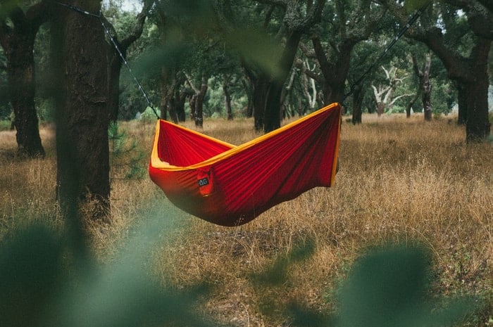 red and yellow hammock hanging between tree