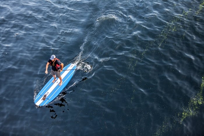 man in black shorts riding blue and white kayak on body of water during daytime