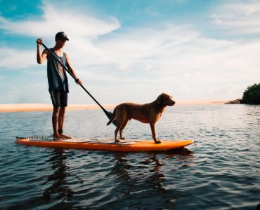 What Are Paddle Boards Made Of