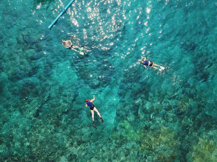 what colors not to wear snorkeling?