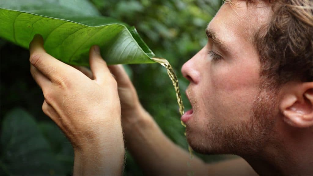 Can Drinking Your Own Urine to Survive in the Wilderness?