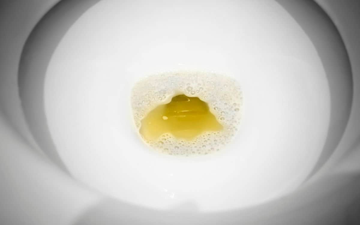 10 Surprising Facts About Urine You Never Knew