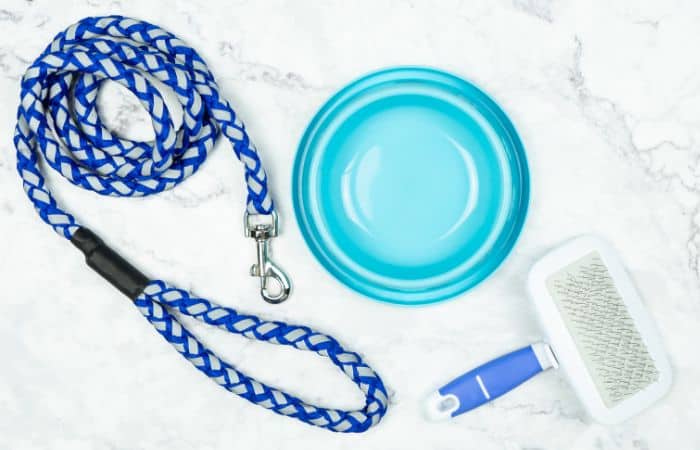 A blue dog leash, a blue bowl, and a blue brush on a white marble background.