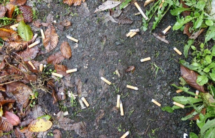 Multiple cigarette butts found on national parks