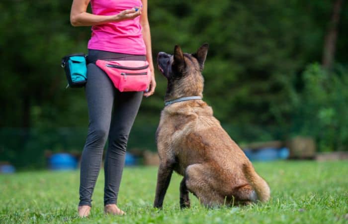 A woman training her dog