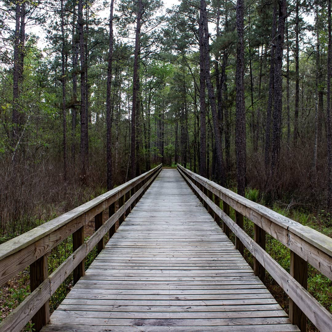 Best Backpacking Trails in Texas - Davy Crockett National Forest and Big Thicket National Preserve