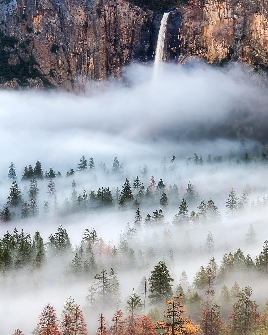 Top 7 National Parks in the USA - Yosemite
