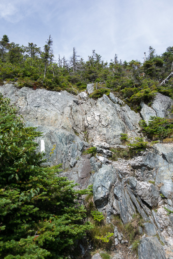 Most Breathtaking Hiking Trails You Must Visit in the United States - Jay Peak Long Trail North